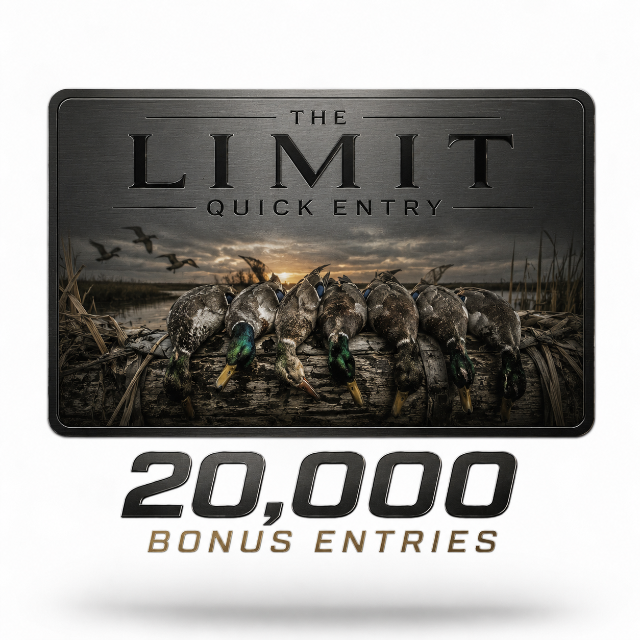 THE LIMIT QUICK ENTRY™