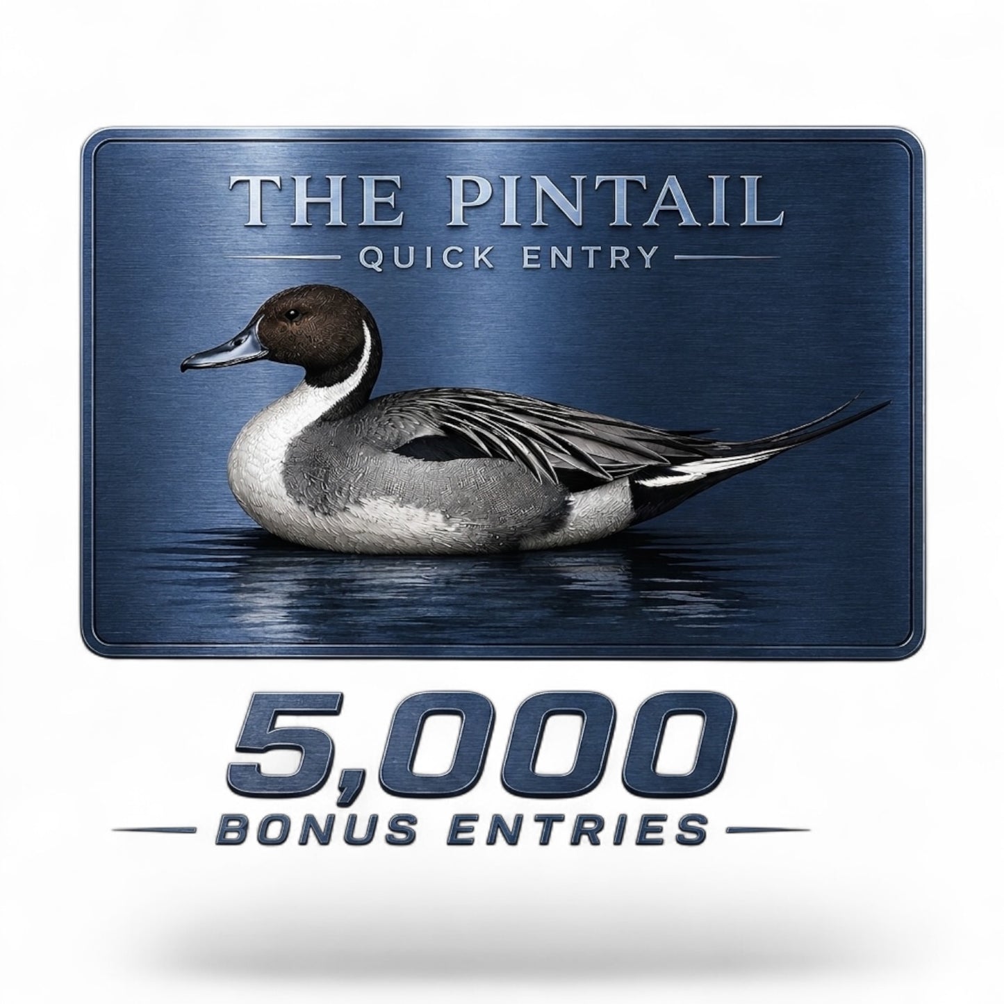 PINTAIL QUICK ENTRY™
