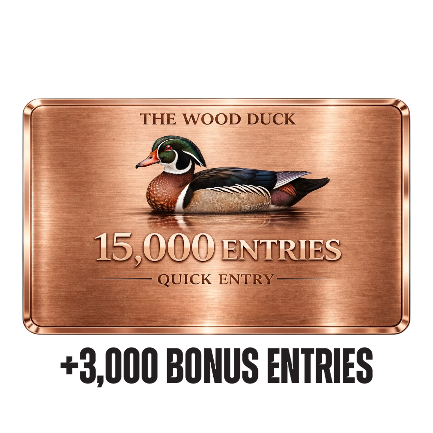 The Wood Duck Quick Entry