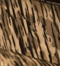 ECOXGEAR Defender Speaker Mount