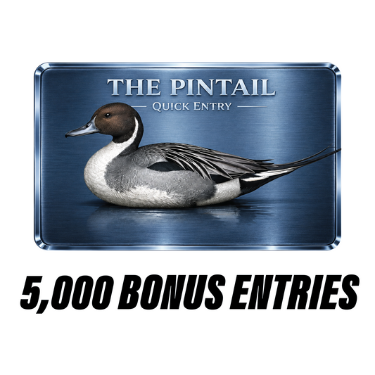 The Pintail Quick Entry